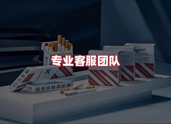 专业团队